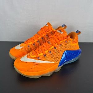 Nike Lebron 12 Low Men’s Basketball Shoes